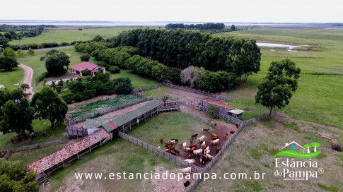 INICIO GADO TOP.00_01_38_10.Quadro023_dbe8f27e8a1e24d7f27fce9c587b8867f0cbdf37.jpg